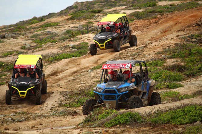 ATV Sand Dune Adventure in Baja California, With Lunch  - Cabo San Lucas - Overview of the Tour