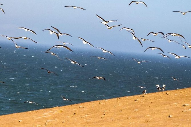 ATV Tour Adventure in Paracas National Reserve - Start Time and End Point