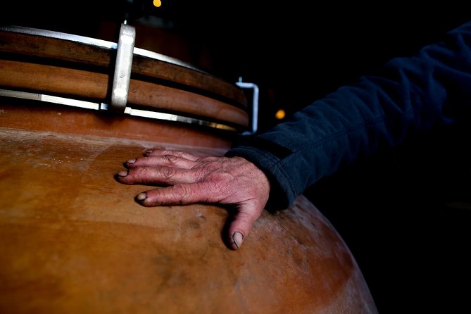 Aude Hidden History and Wine Tasting at ChȃTeau De Luc  - France - Organic Wine Tasting Experience