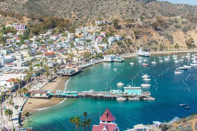 Avalon City: A Self-Guided Audio Tour - Start Time and Tour Flexibility