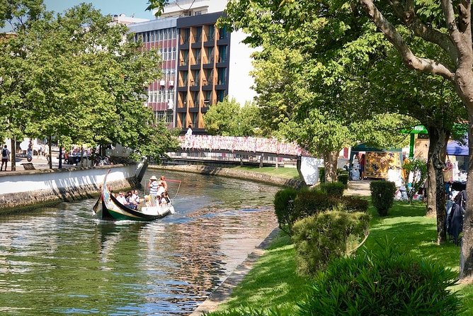 Aveiro Rent a Bike - 4 Hours - Family-Friendly Options and Services