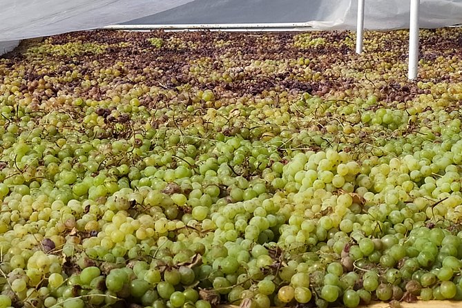 Axarquia VIP Wine Tour With Gourmet Winery Lunch Experience - Gourmet Winery Lunch Experience