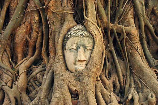 Ayutthaya Temples and River Cruise From Bangkok - Traveler Photos and Reviews