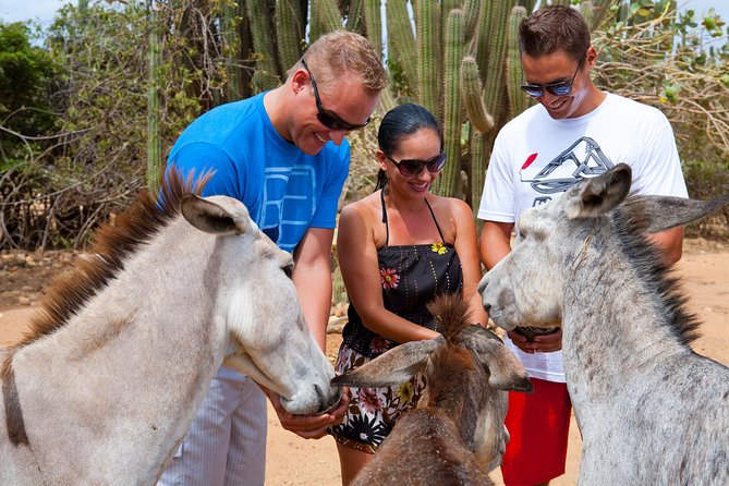 Baby Beach Off-Road Safari - Positive Reviews and Highlights