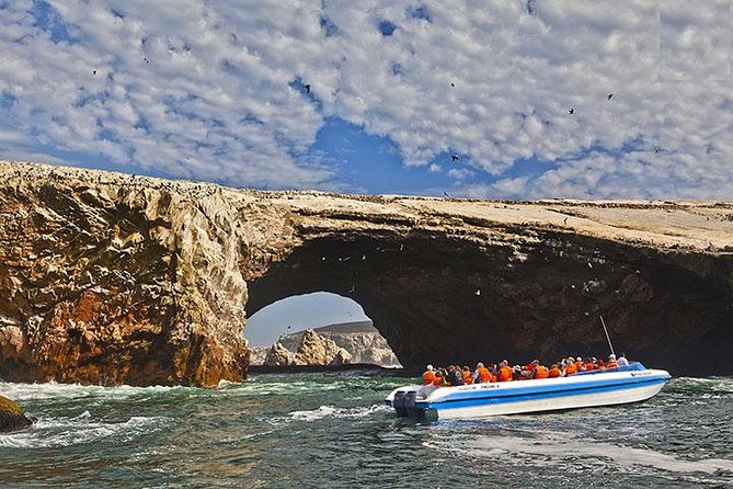 Ballestas Islands Group Tour From San Martin Port - Meeting and Pickup