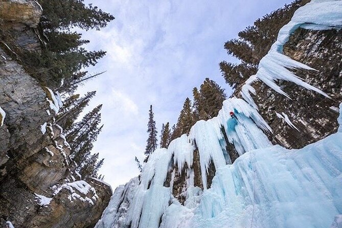 Banff Area & Johnston Canyon 1-Day Tour From Calgary or Banff - Feedback on Seating Arrangements and Language Barrier