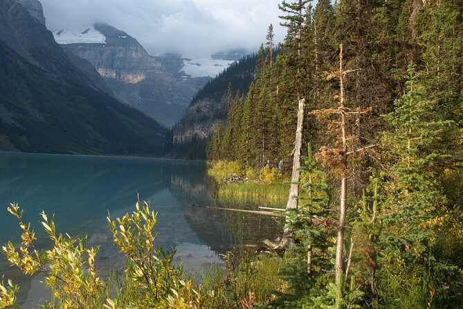 Banff Jasper National Parks Columbia Icefield Private Tour - Positive Reviews About the Tour Guide