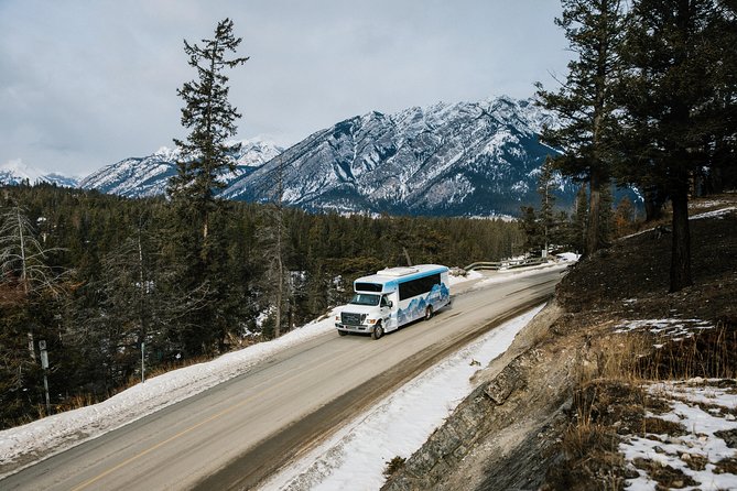 Banff Winter Wonder Tour - Featuring Nightrise at Banff Gondola - Unforgettable Nightrise Experience