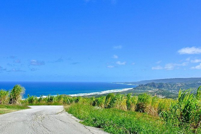 Barbados Full-day Coast to Coast Tour - Cancellation Policy