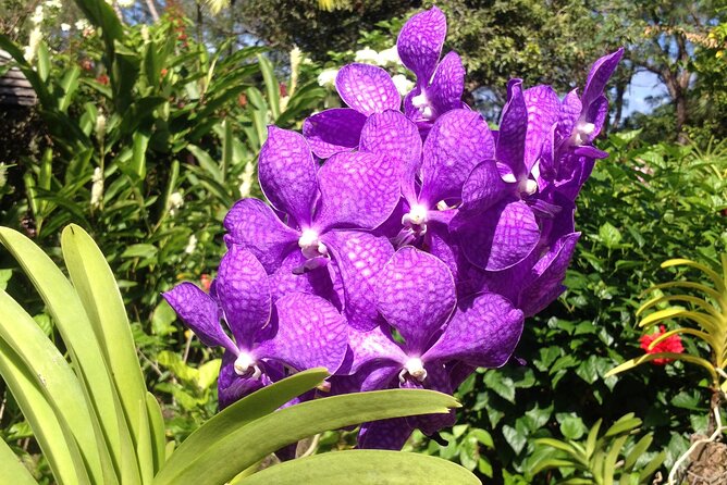 Barbados Private Half Day Tour - Meeting and Pickup Information