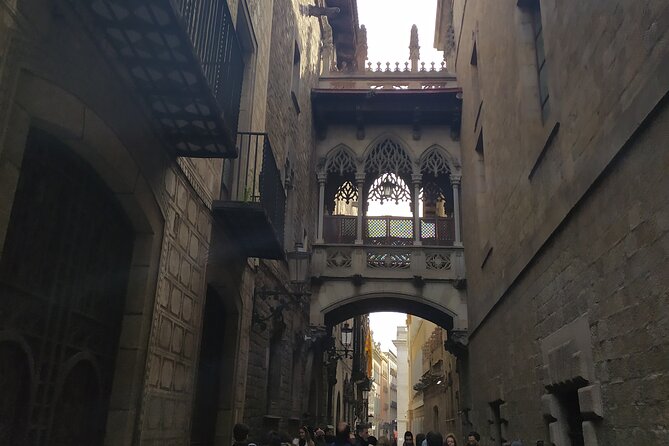 Barcelona Historical Walking Tour With Guide - Discovering the Ancient Roman City of Barcino