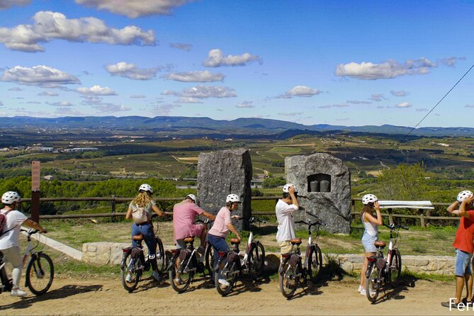 Barcelona: Wine & Ebike Full Day Guided Tour in Penedès - Wine Tastings