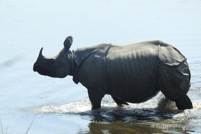 Bardia Walking Safari Tour 3 Nights 4 Days - Common Questions
