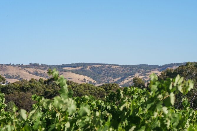 Barossa Bespoke Tours - a Full Day Private Tour to the Barossa Valley - Tour Highlights