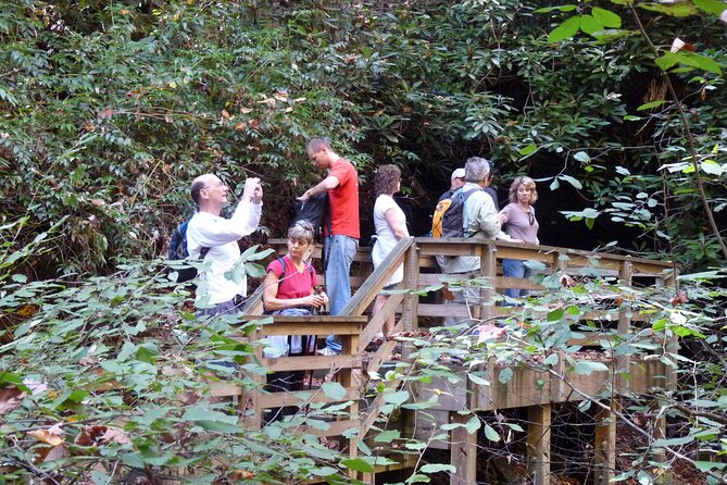 Bartram Trail Hike Plus Wine Tasting - Wine Tasting Options
