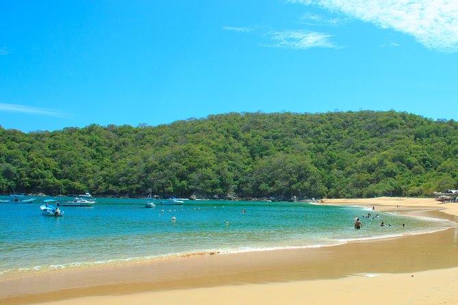 Bays of Huatulco and Snorkeling on a Double Decker Catamaran - Spot Marine Life Like Turtles, Whales, and Dolphins