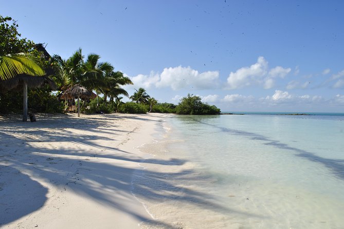 Beach Escape: Isla Contoy and Isla Mujeres With Snorkeling, Breakfast and Lunch - Tour Experience