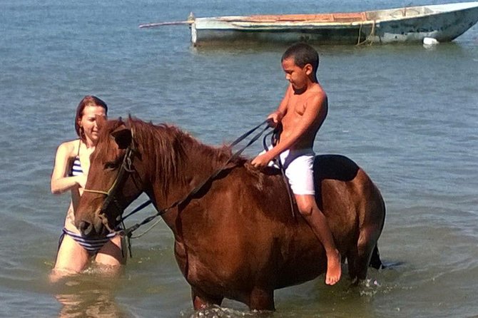 Beach Horseback Riding in Puerto Plata - Overview of the Experience