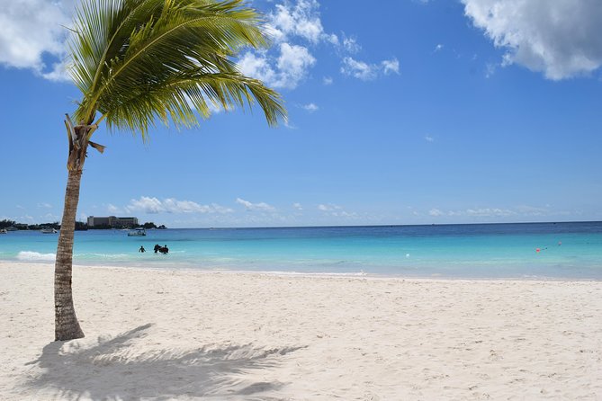 Beach Shuttle to Carlisle Bay With Free Use of Chair and Umbrella - Overview of the Beach Shuttle Experience