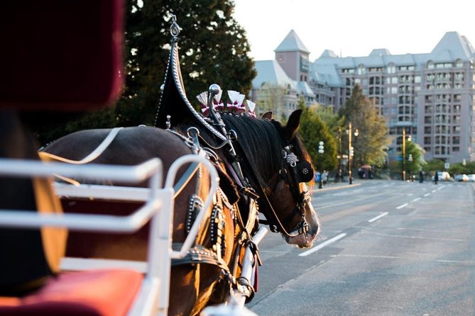 Beacon Hill Park Horse-Drawn Carriage Tour of Victoria - Additional Information