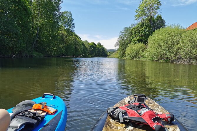 Beaver Safari on Stand up Paddleboard in Hokksund - What to Expect