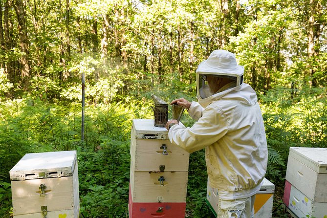 Beekeeper Experience in the Mountain of Holomontas - Booking and Reservation