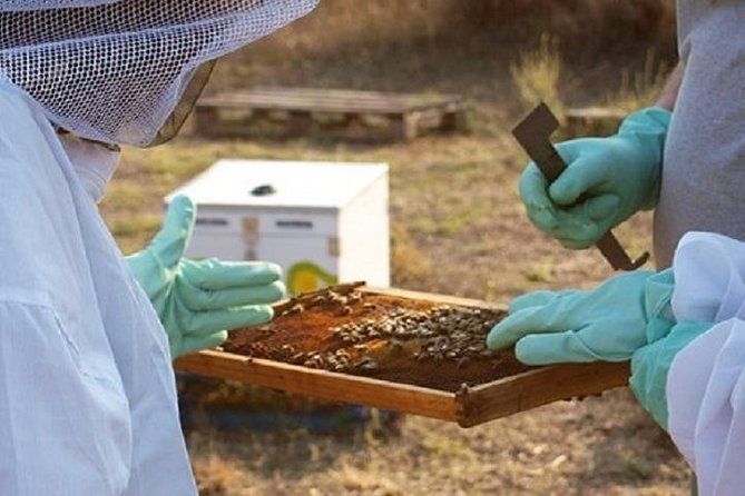 Beekeeper for a Day in Nafplio - Beekeeping Experience Highlights