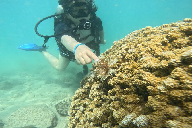 Beginner Scuba Experience With Free Video Package - Honolulu - Gratuities and Tipping