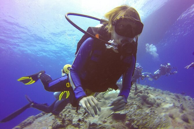 Belek Scuba Diving Experience (2 Dives) With Lunch - Accessibility Information