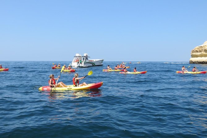 Benagil Kayak Tour On Board a Fantastic Catamaran - Host Response and Viator Information