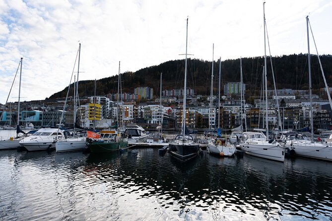 Bergen Guided Tour by Minibus (With Photo Stops) & Bryggen Walk - Meeting and Pickup