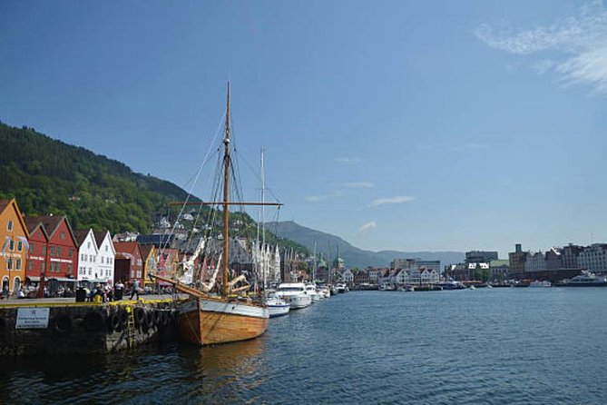 Bergen: Mostraumen Fjord Cruise - Spot Wildlife