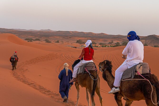 BEST Marrakech to Fes Desert Tour 3 Days - Traveler Reviews and Ratings