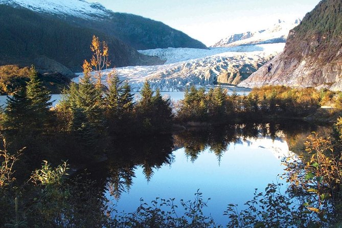 Best of Juneau: Mendenhall Glacier, Whale Watching and Salmon Bake - Tlingit Master Carver and Salmon Bake