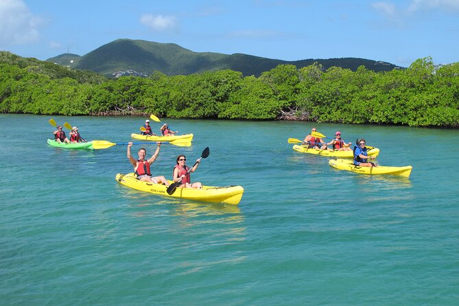 Best of Mangrove Lagoon Kayak, Hike and Snorkel Adventure With Picnic Lunch - The Sum Up