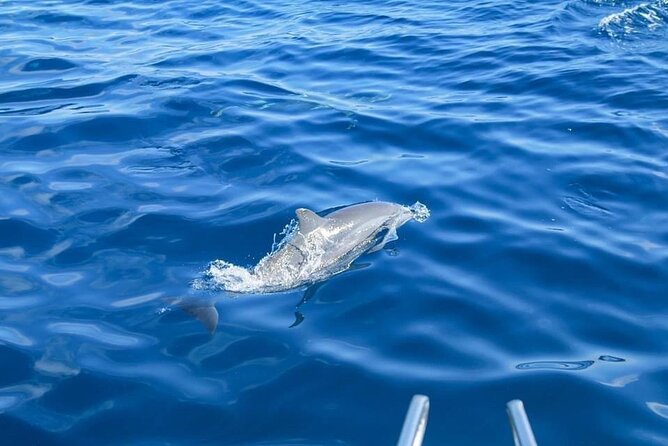 Best of Similan Islands Snorkeling Tour by Speedboat - Speedboat Experience
