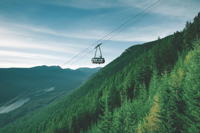 Best of Vancouver Small-Group Tour W/Capilano Grouse Mtn Lunch - Traveler Photos
