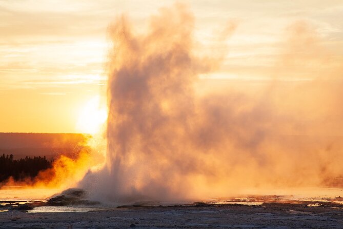 Best of Yellowstone Guided Tour From Bozeman - Private Tour - Inclusions
