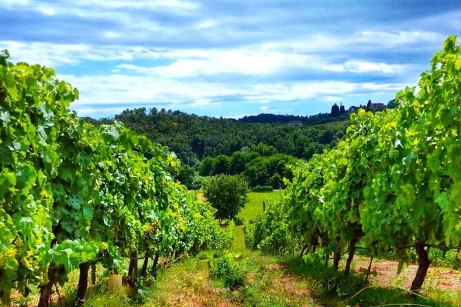 Bike Ride & WIne Tasting - Tour Schedule: Plan Your Perfect Day