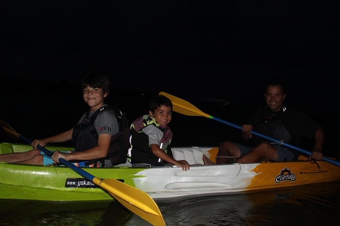Bio Bay Kayak Tour in Puerto Rico - The Sum Up