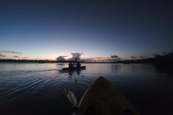 Bio Bay Night Kayaking Laguna Grande, Fajardo - Meeting and Pickup Details