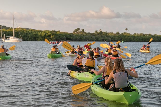 Bio Bay Night Kayaking - Round Trip Transportation From San Juan Area - Additional Info