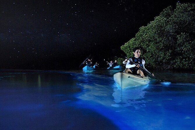 Bioluminescence Tour in Kayak in Holbox Island - Tour Duration: 45 Minutes