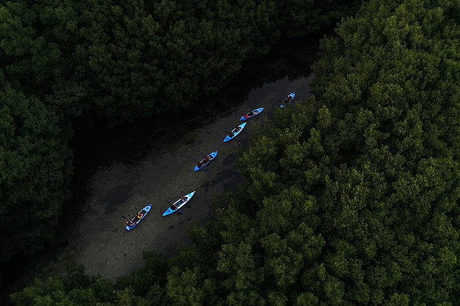 Bioluminescent Bay Kayak Adventure Tour From San Juan - Kayaking Experience