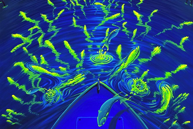 Bioluminescent Kayak Tour. Fin Expeditions Is Cocoa Beaches Top Rated Kayak Tour - Tour Overview