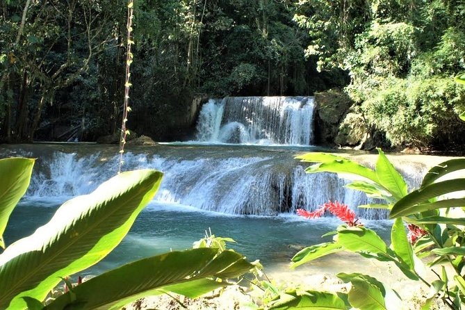 Black River Safari & YS Falls Guided Tour With Lunch & Admission From Negril - Positive Experiences