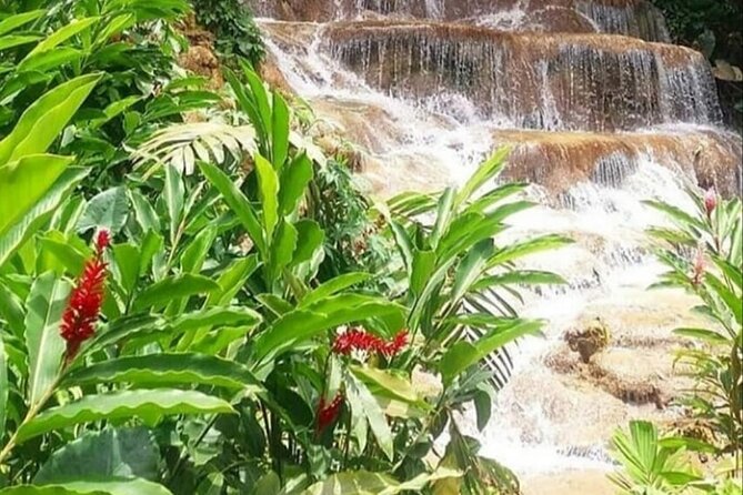 Blue Hole And Konoko Falls Combo Tour From Ocho Rios & Runaway Bay! - Mixed Customer Experiences