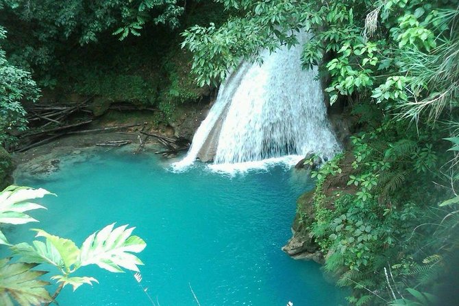 Blue Hole and Sightseeing Tour From Ocho Rios - Scenic Drive Through Lush Rainforest
