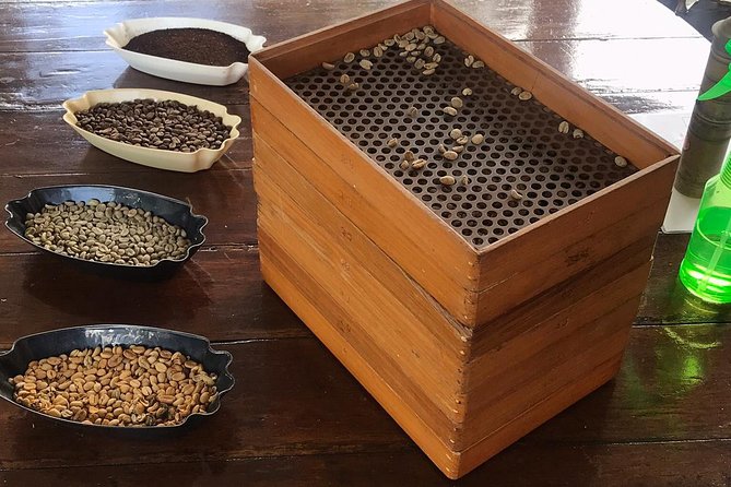 Blue Mountains Coffee Private Tour From Kingston - Inclusions and Pickup