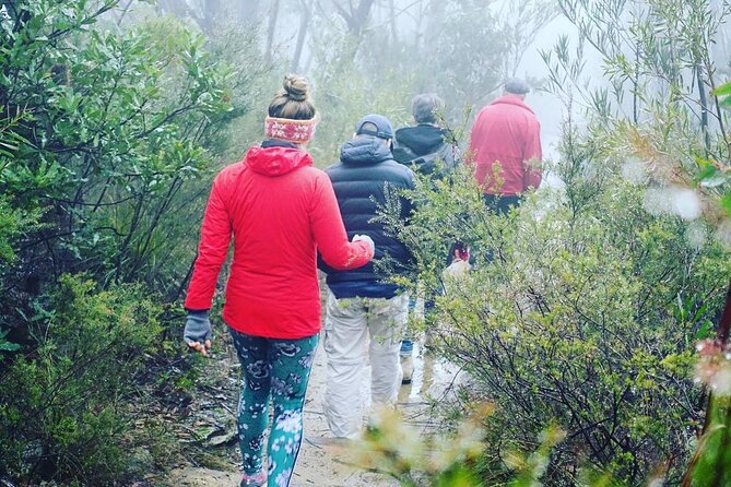 Blue Mountains Private Hiking Tour From Sydney - Private Guide and Transportation
